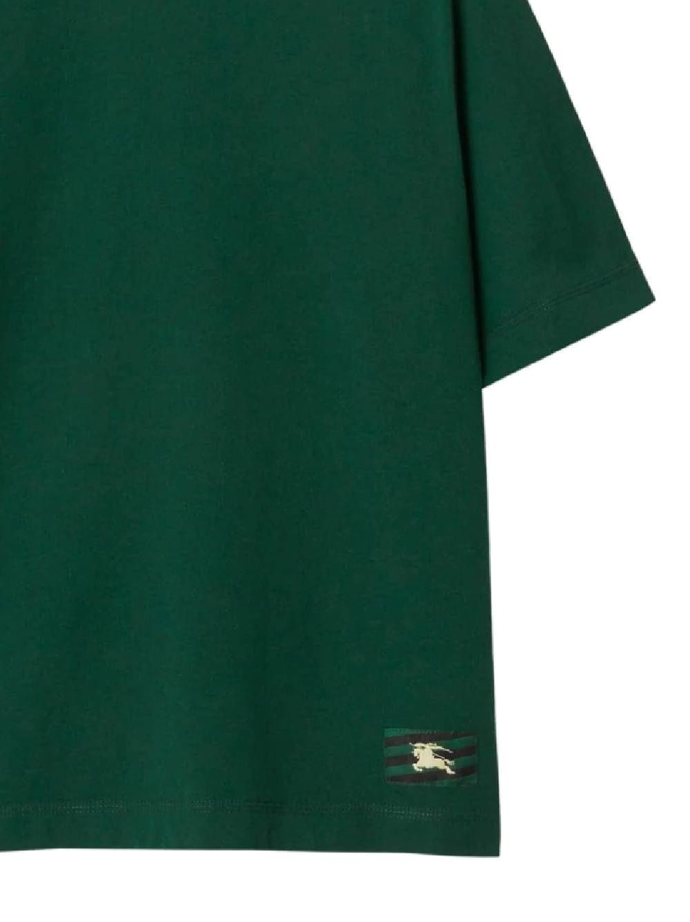 green cotton jersey texture