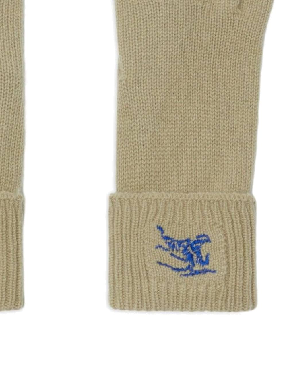 Embroidered knitted gloves