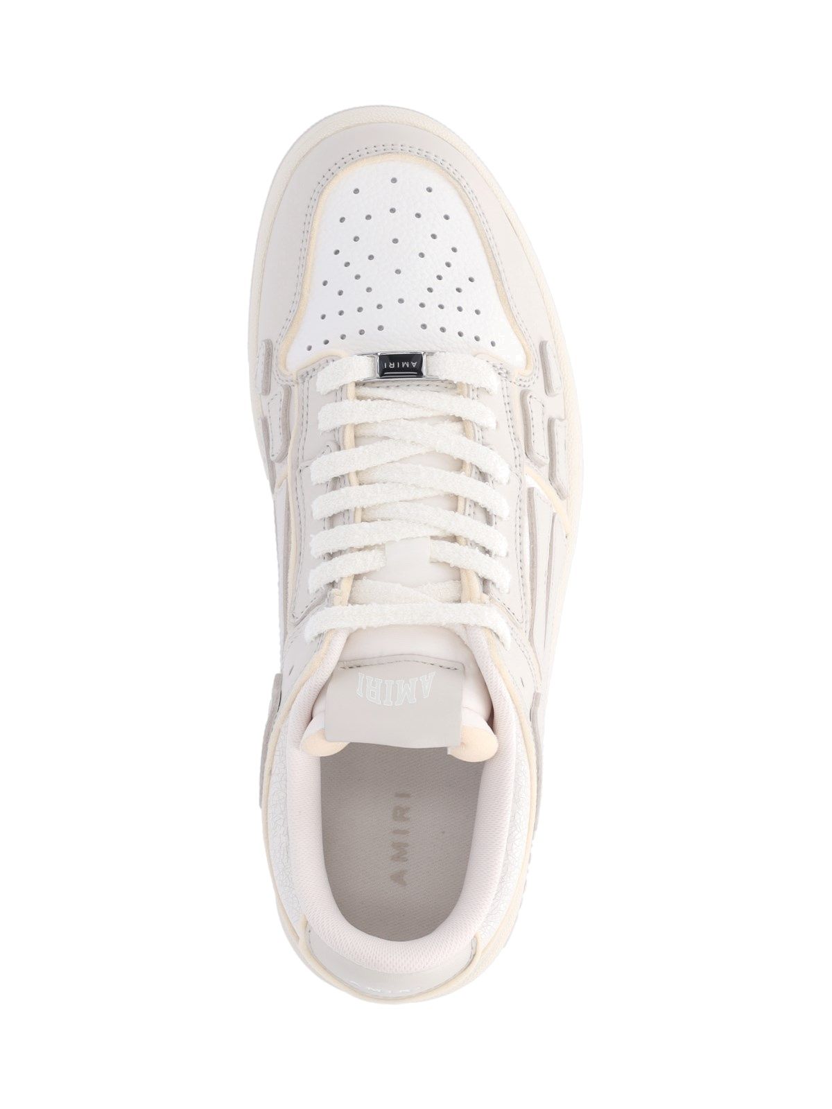 Sneakers low-top "Collegiate Skel"